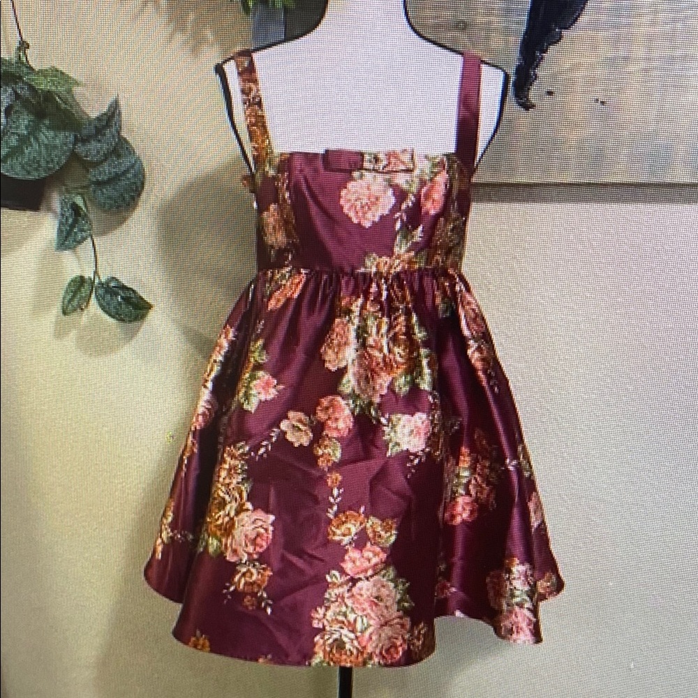 NWOT Lulus Unbelievably Lovely Red Floral Babydoll Empire Waist Mini Dre…